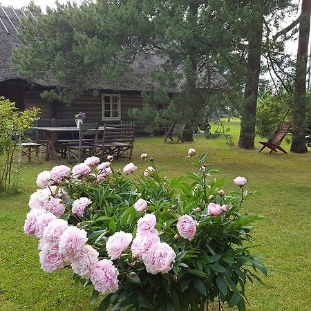 Maenni Summerhouse Kassari Exterior photo